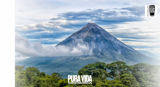a majestic mountain peak, with a lush green forest in the foreground and a cloudy sky above.
