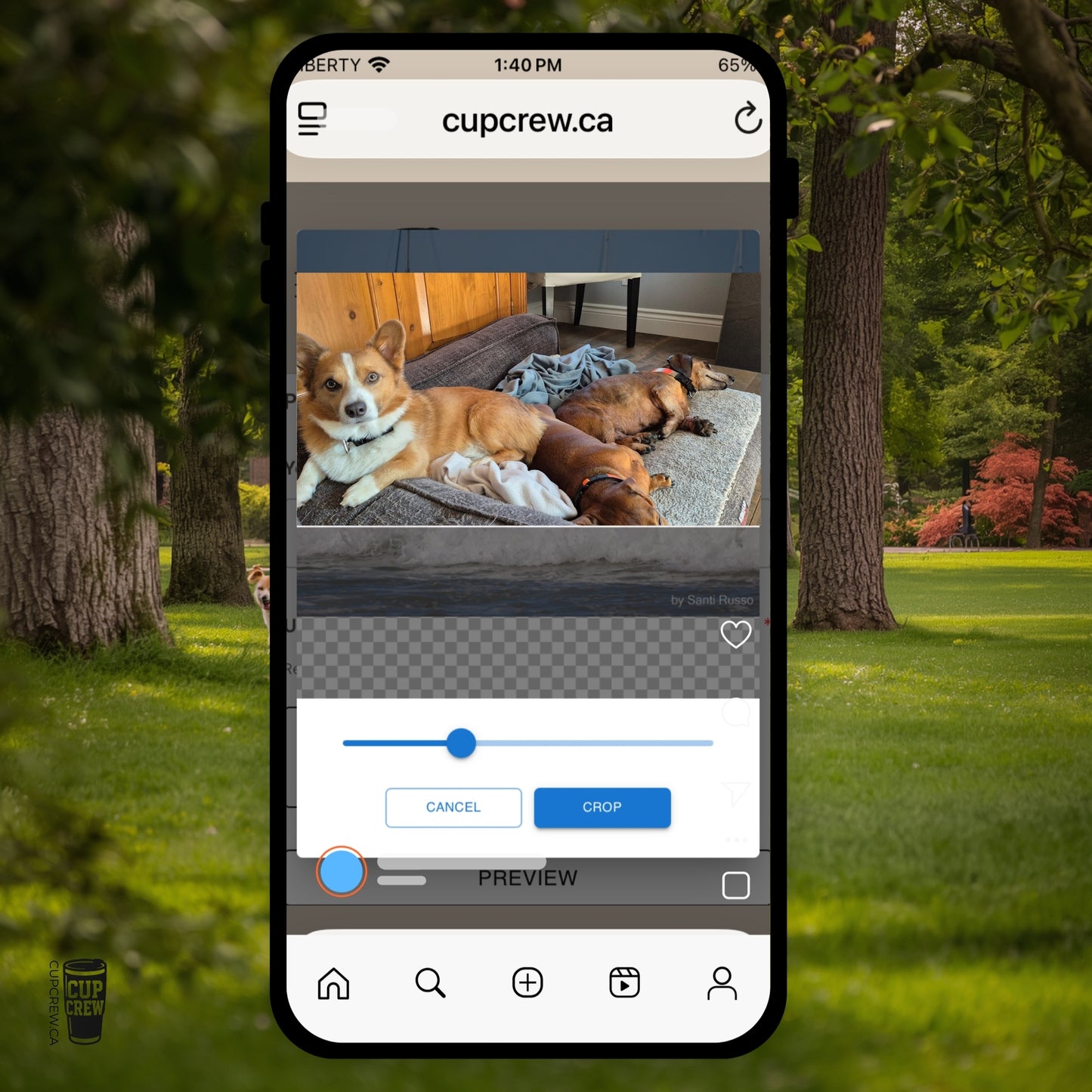 DIY Pet Photo Tumbler