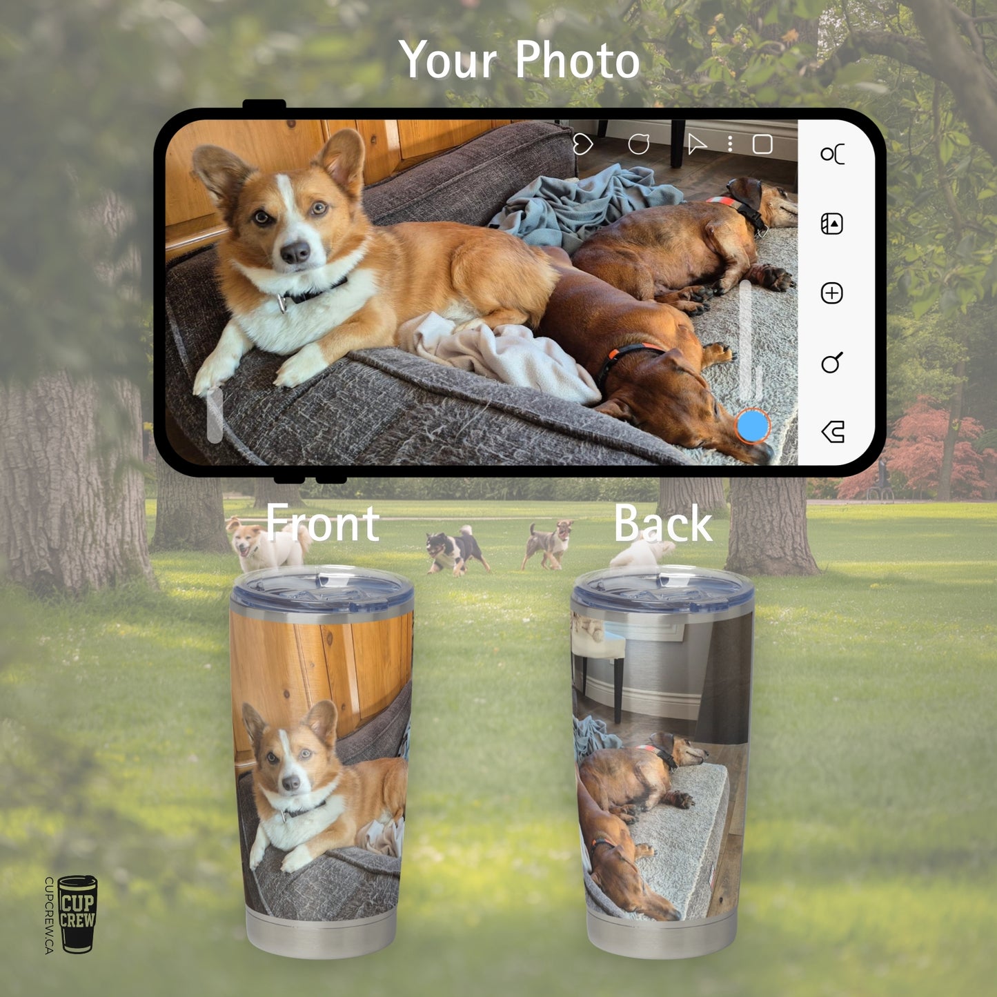 DIY Pet Photo Tumbler