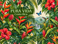 The image is a vibrant and lush tropical scene featuring a variety of colorful flowers, leaves, and tropical birds.